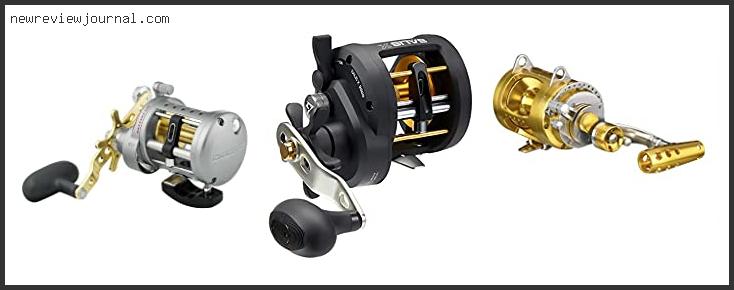 Buying Guide For Best Conventional Reel For Bottom Fishing – To Buy Online