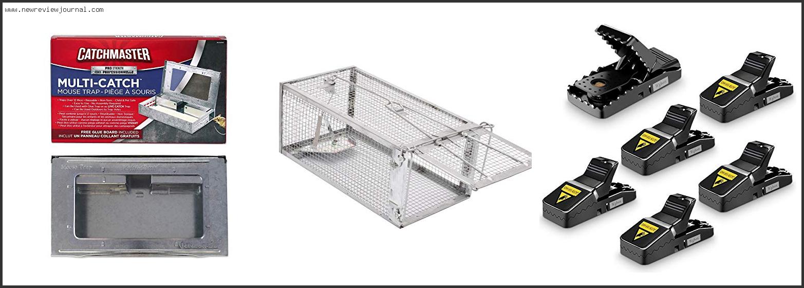 Top 10 Best Outdoor Mouse Trap Based On Scores