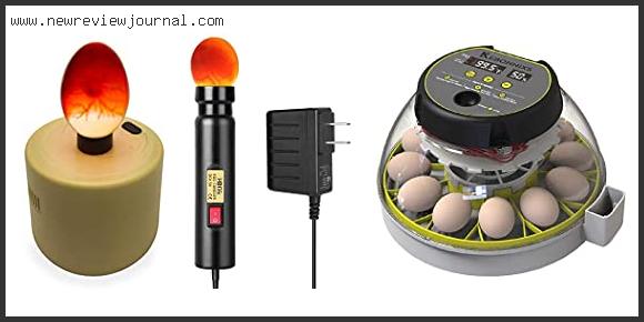 Top 10 Best Egg Candler With Buying Guide
