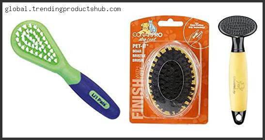 Top 10 Best Brush For Chihuahua – Available On Market