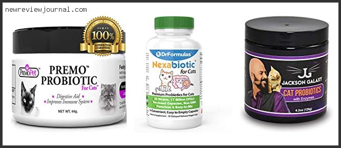 Buying Guide For Best Cat Probiotic For Diarrhea With Buying Guide